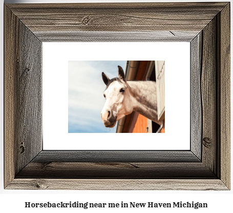 horseback riding near me in New Haven, Michigan